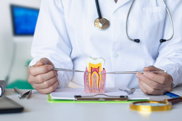 Best Emergency Treatment for Dental Infections or Abscesses in Garrettsville, OH
